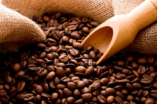 コーヒー愛好者のための美味しいコーヒー豆ガイド