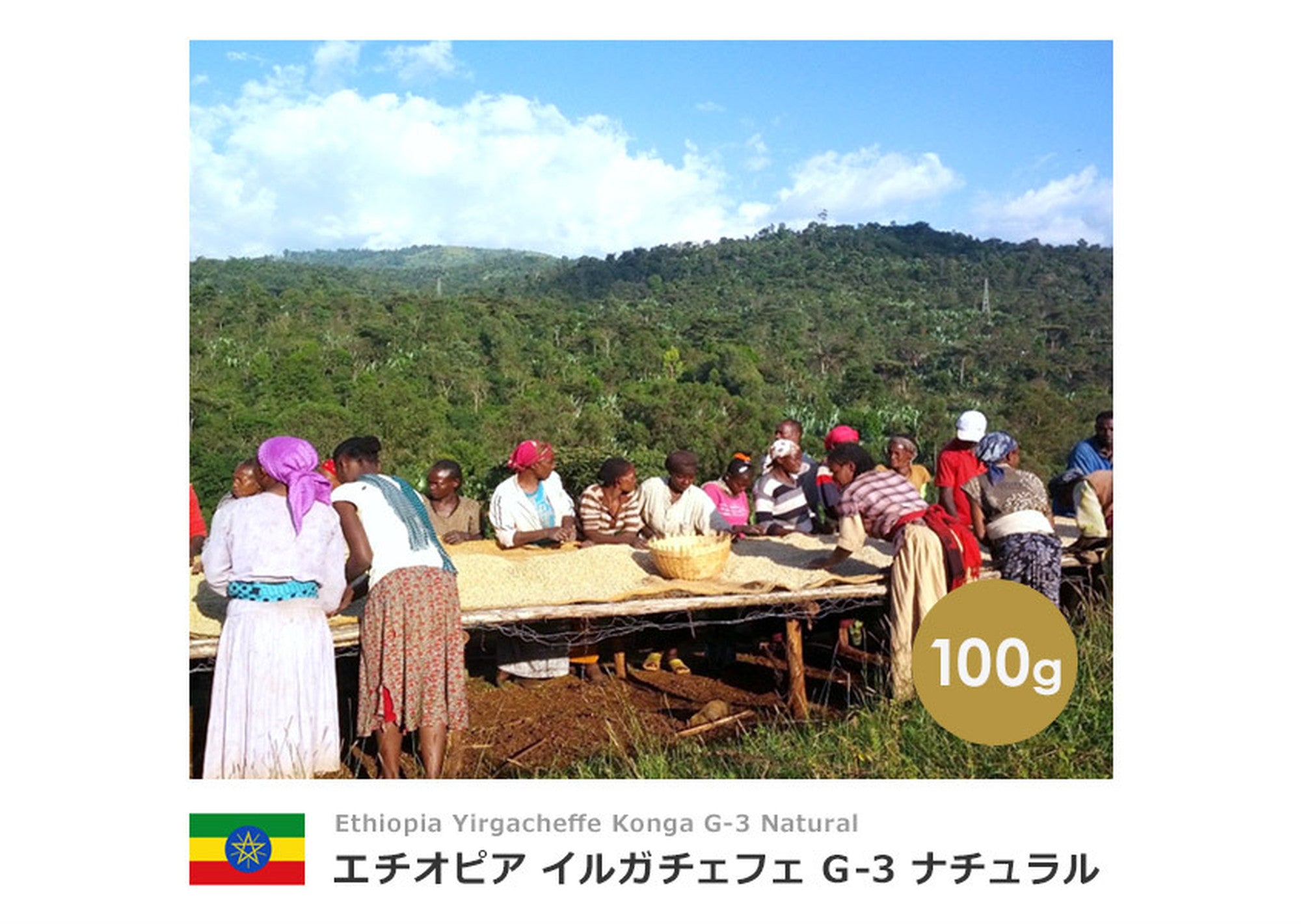 エチオピア イルガチェフェ G-3 ナチュラル【100g】 – 心斎橋焙煎所