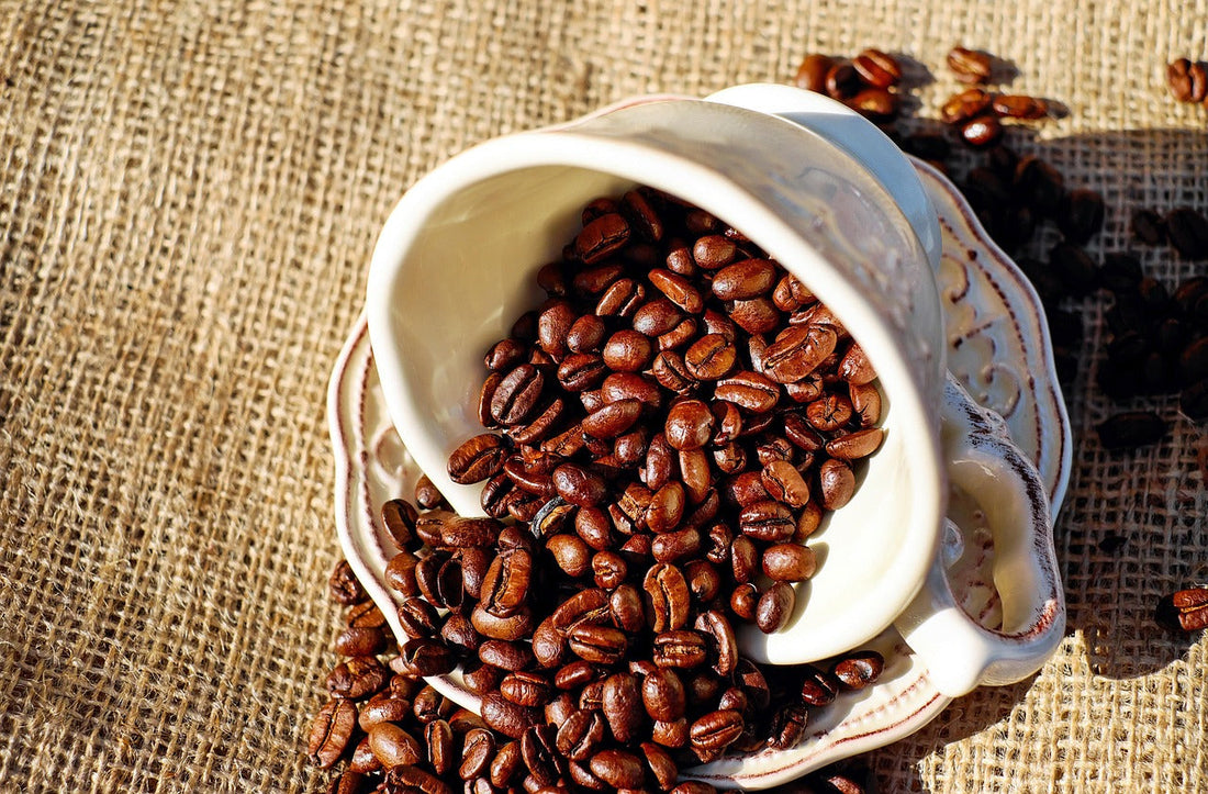 シングルオリジンとは？産地ごとの味わいを楽しむコーヒー入門ガイド