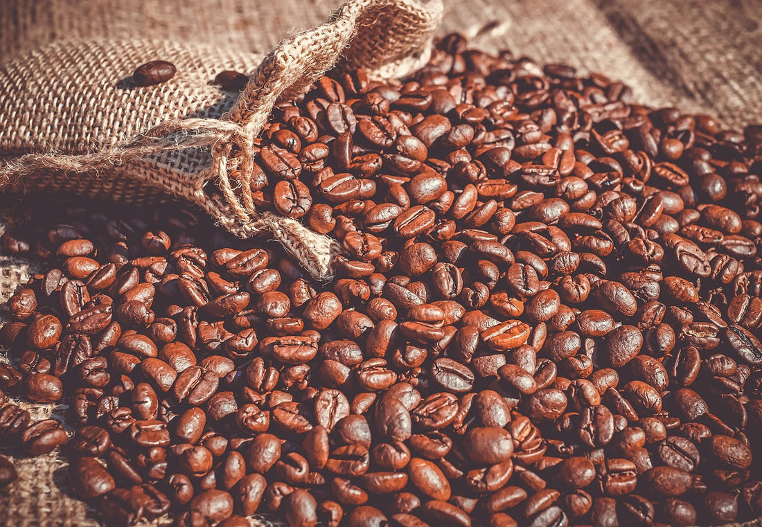 世界で広がるスペシャルティコーヒーの魅力