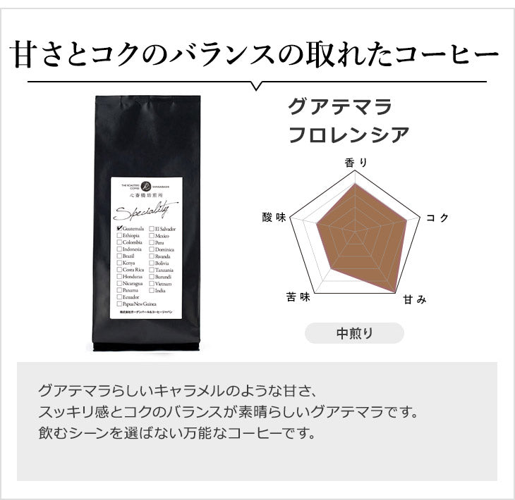 【 送料無料 】3つの味が楽しめるスペシャルティ コーヒー豆 お試しセット SPECIAL（ 100g ×3袋）