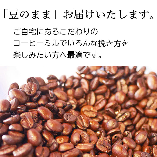 【 送料無料 】3つの味が楽しめるスペシャルティ コーヒー豆 お試しセット SPECIAL（ 100g ×3袋）