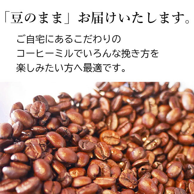 【 Kalita 】KH-100 ナイスカットG + 2016 + 心斎橋焙煎所ロイヤルブレンド
