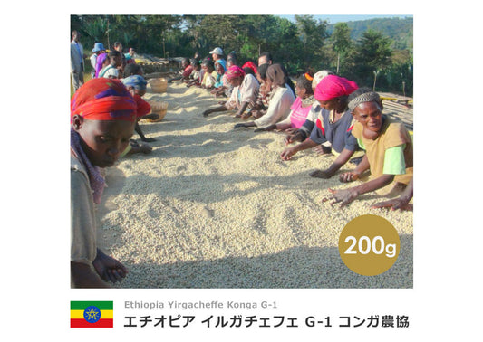 エチオピア イルガチェフェ G-1 コンガ農協【200g】
