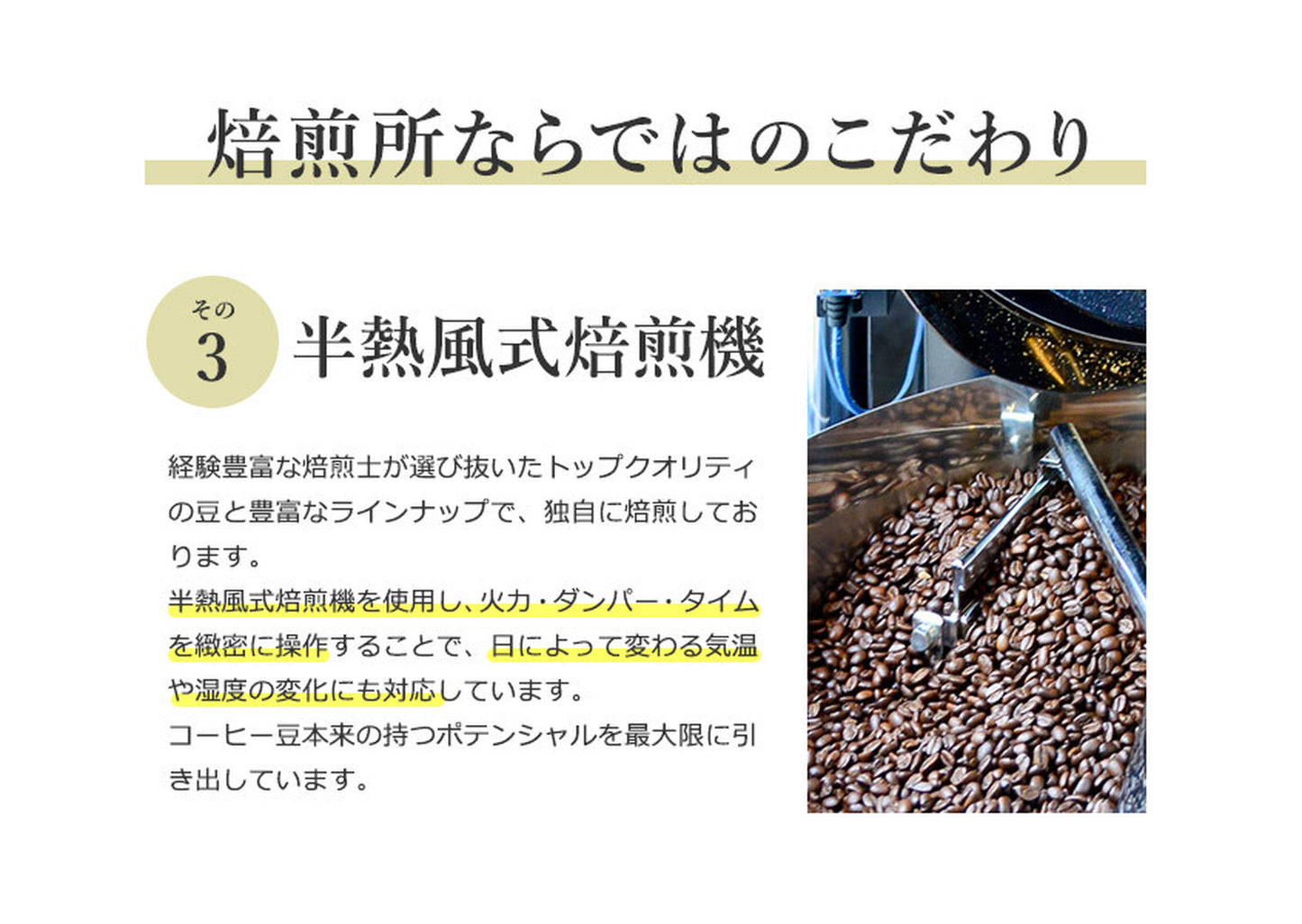 コーヒー豆 3種 お試しセット